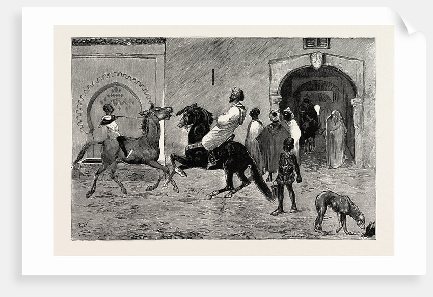 A Scene in Tangier, Morocco by Anonymous