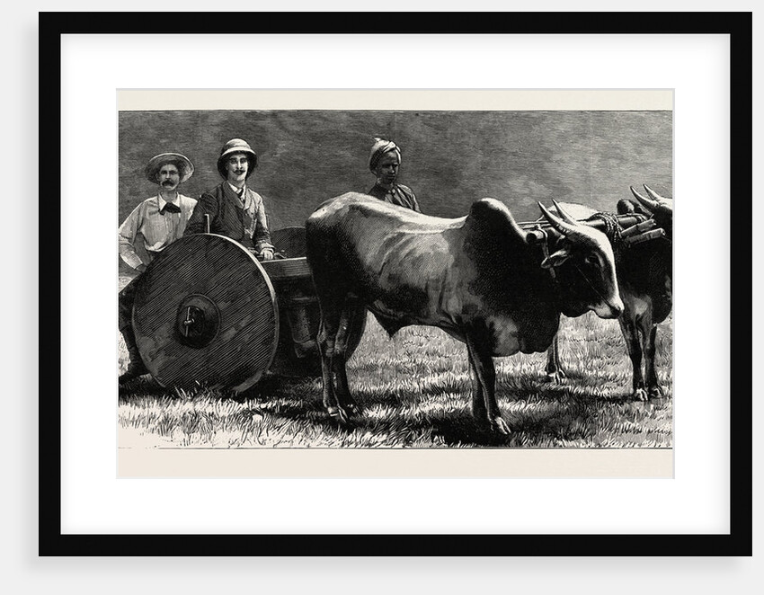 Prince Albert Victor with the Elephant King in a Jungle Waggon in Mysore, India by Anonymous