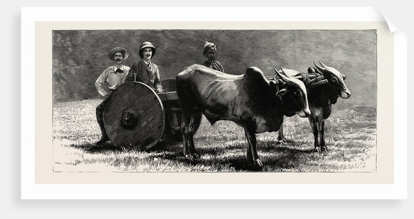 Prince Albert Victor with the Elephant King in a Jungle Waggon in Mysore, India by Anonymous
