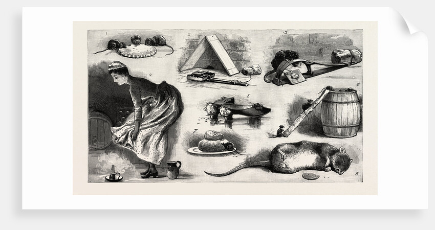 The Rat Plague in the Country, 3. La Grippe by Anonymous