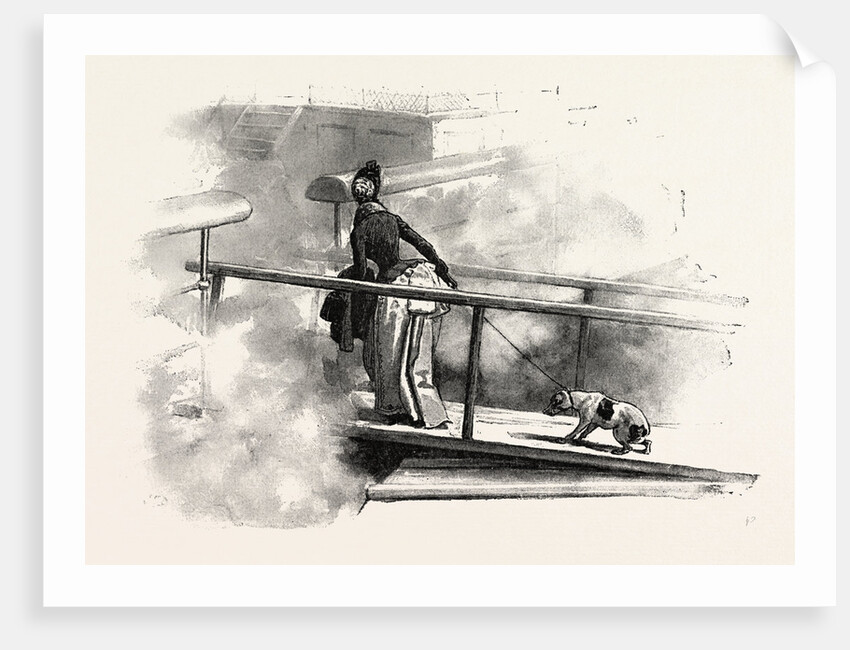 On a Peninsular and Oriental Company's Steamer by Anonymous