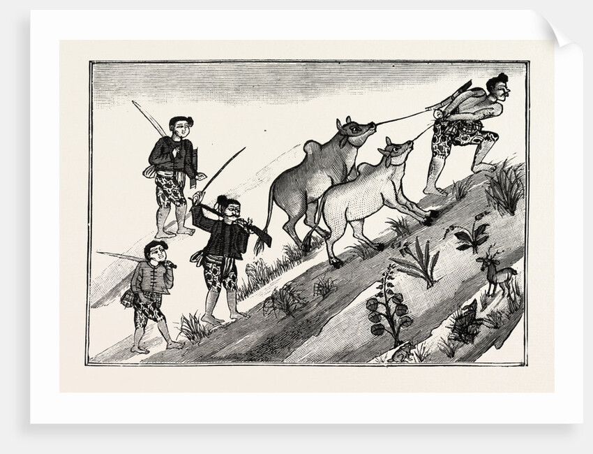 Life of a Burmese Dacoit, But on Reaching Man's Estate Joins a Band of Dacoits and Cattle Lifters by Anonymous