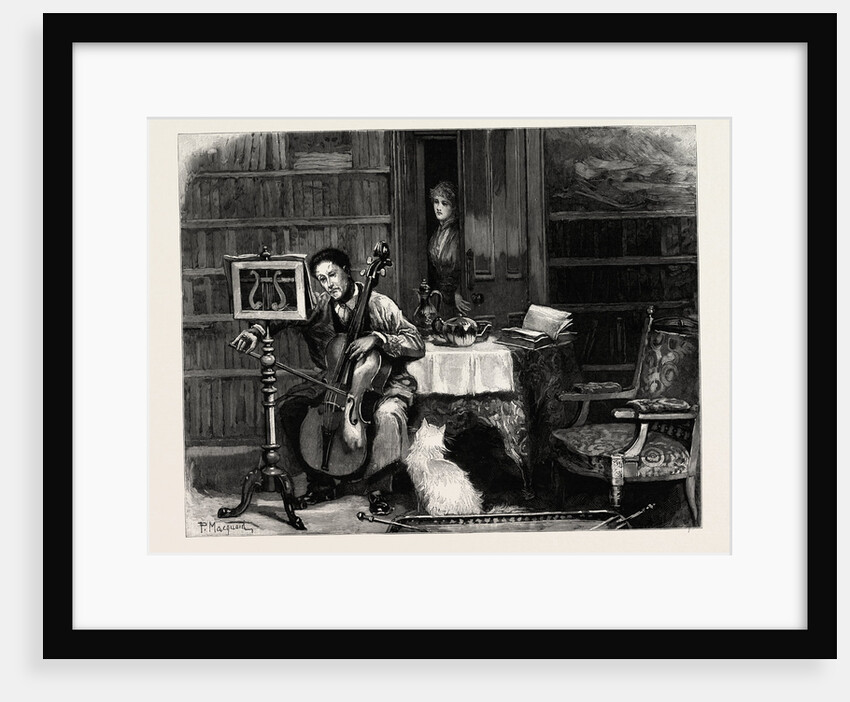 Violoncello by Anonymous
