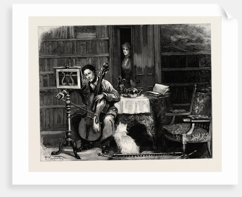 Violoncello by Anonymous
