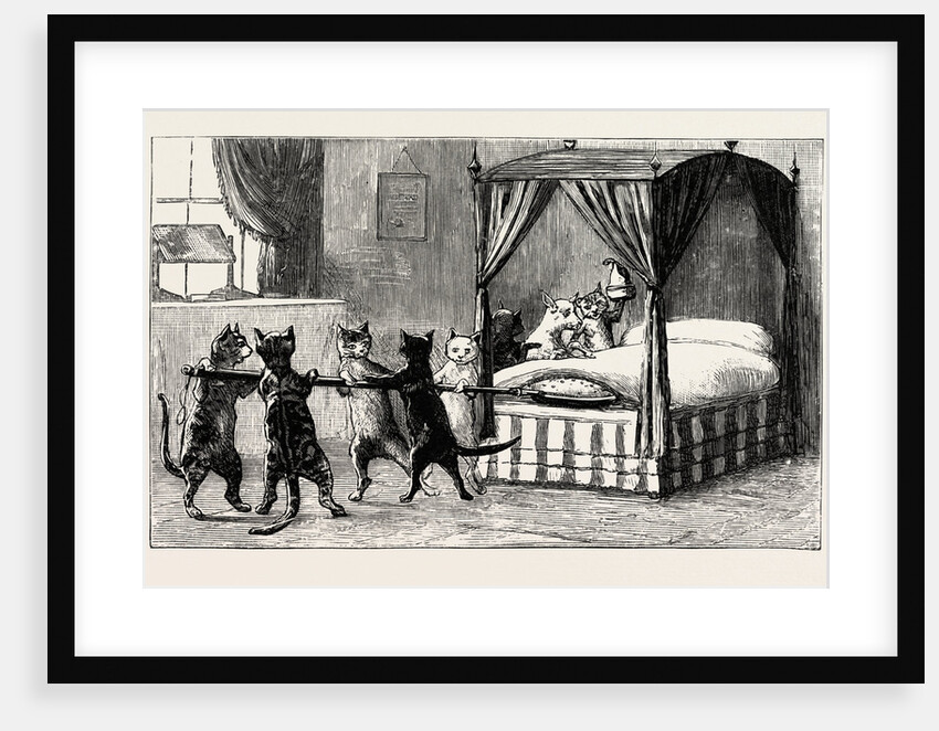 The Dame Was Unabe Her Pleasure to Smother. Cats Heating the Bed by Anonymous
