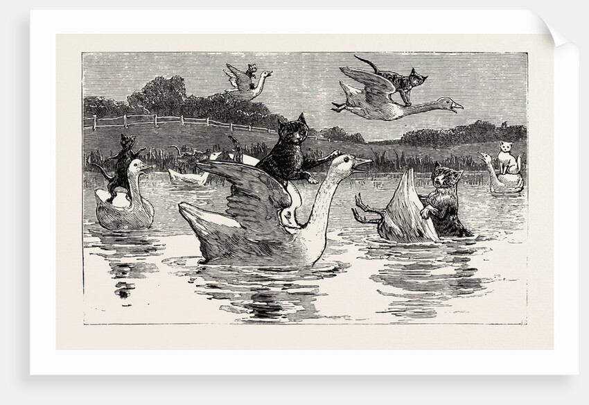 To Show Them His Poultry, He Turned Them All Loose, When Each Nimbly Leaped on the Back of a Goose, which Frightened Them So, that They Ran to the Sea, and Half-Drowned the Cats of Dame Wiggins of Lee by Anonymous