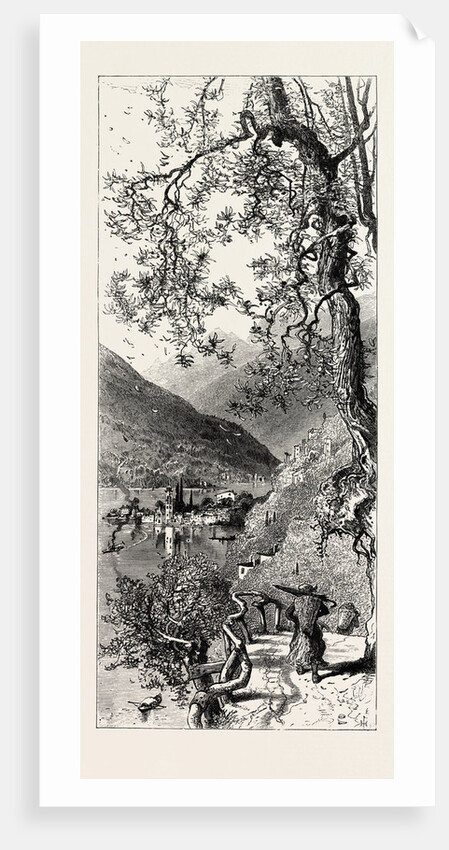 Torno, Lago Di Como, Lario, the Italian Lakes, Italy by Anonymous