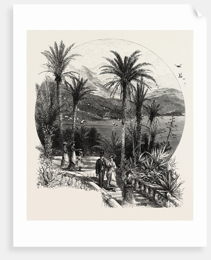 At Monte Carlo, Monaco, the Cornice Road by Anonymous