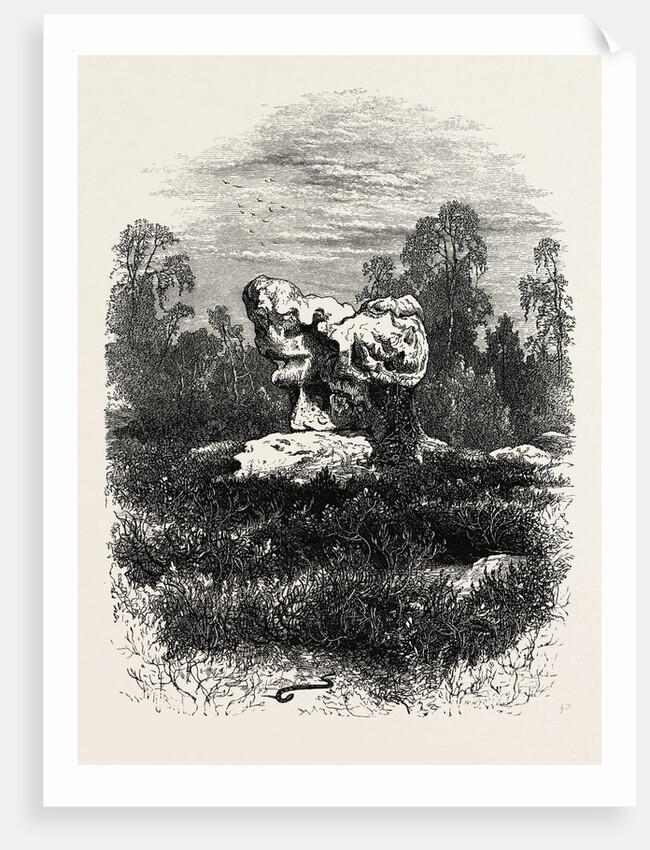 Natural Rock at Franchard, the Forest of Fontainebleau, France by Anonymous
