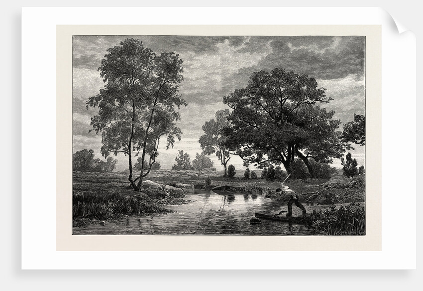 Mare Near Belle Croix, France by Anonymous