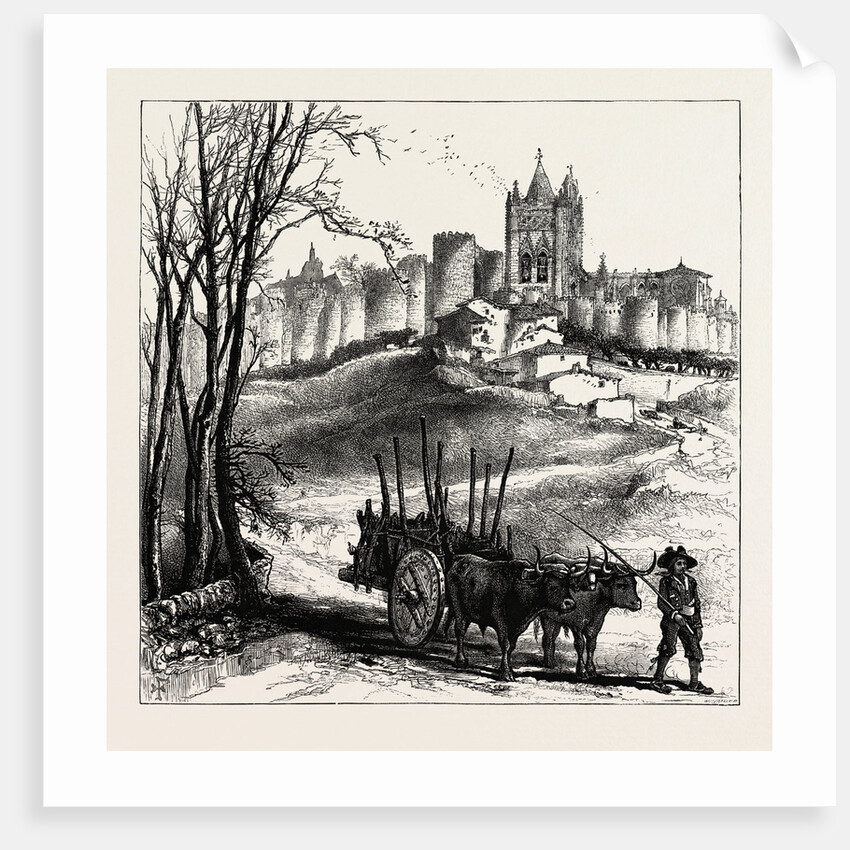 Avila, Spain by Anonymous