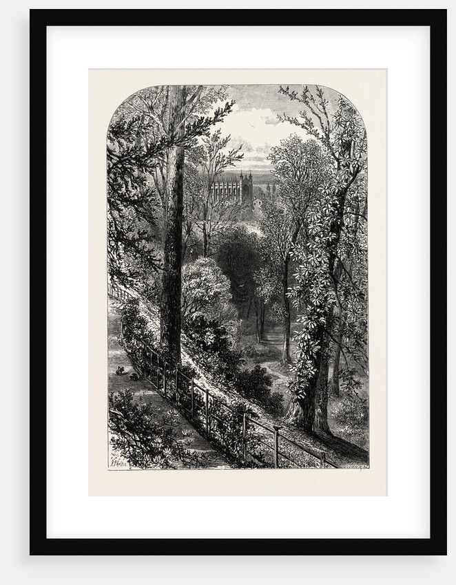 The Slopes, Windsor by Anonymous