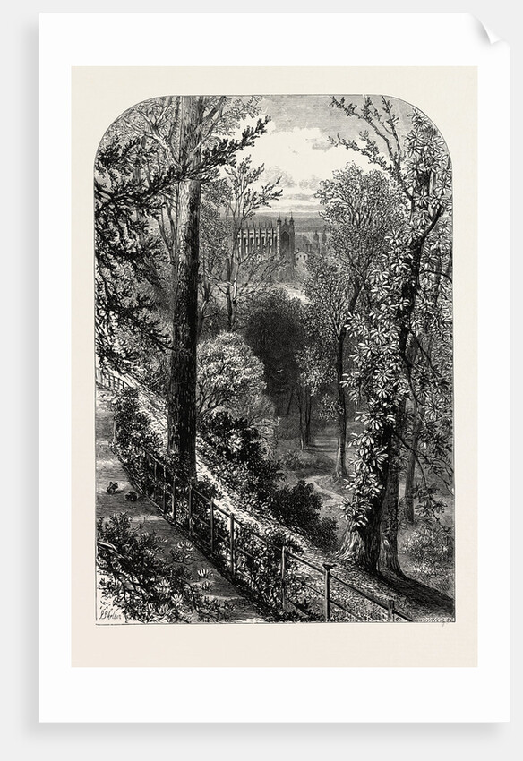 The Slopes, Windsor by Anonymous