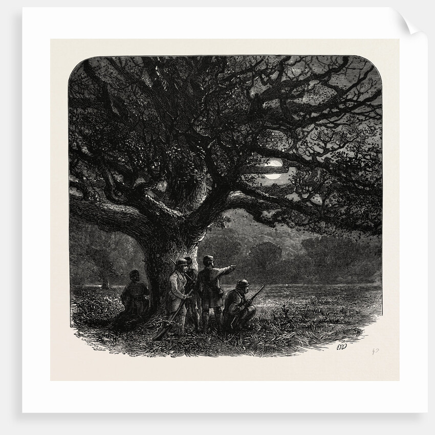 The Watch Oak, Windsor by Anonymous