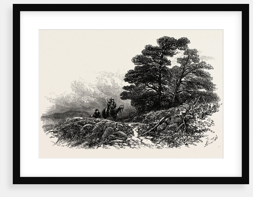 Mountain Path Near Capel Curig, North Wales by Anonymous
