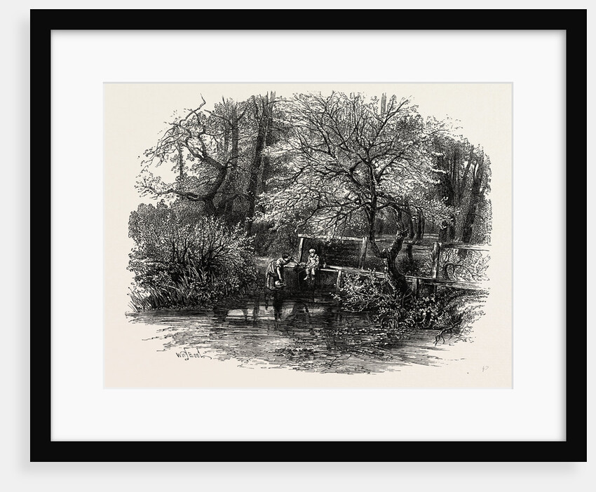 Markeaton Brook, the Dales of Derbyshire, Country by Anonymous