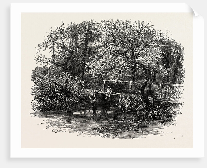 Markeaton Brook, the Dales of Derbyshire, Country by Anonymous