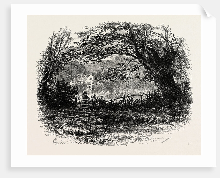 In Depedale, the Dales of Derbyshire by Anonymous