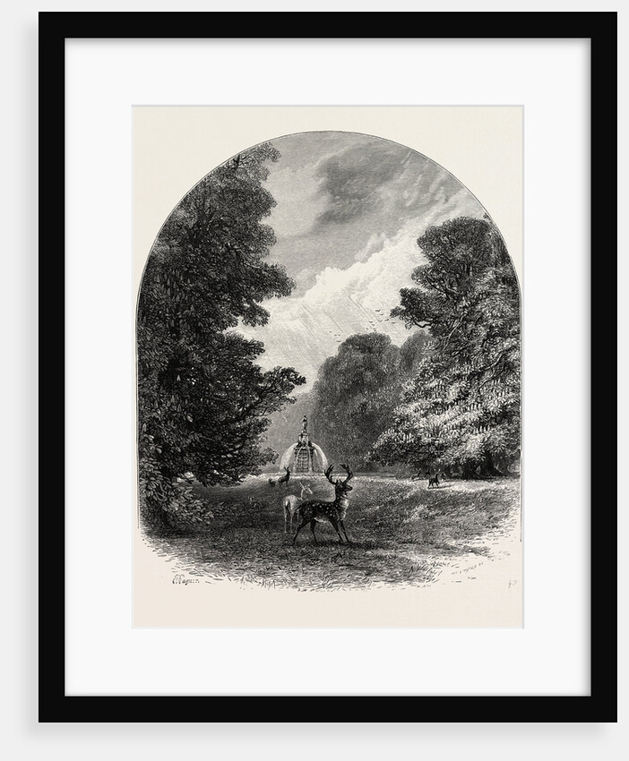 The Chestnuts in Bushey Park, the Forest Scenery of Great Britain by Anonymous