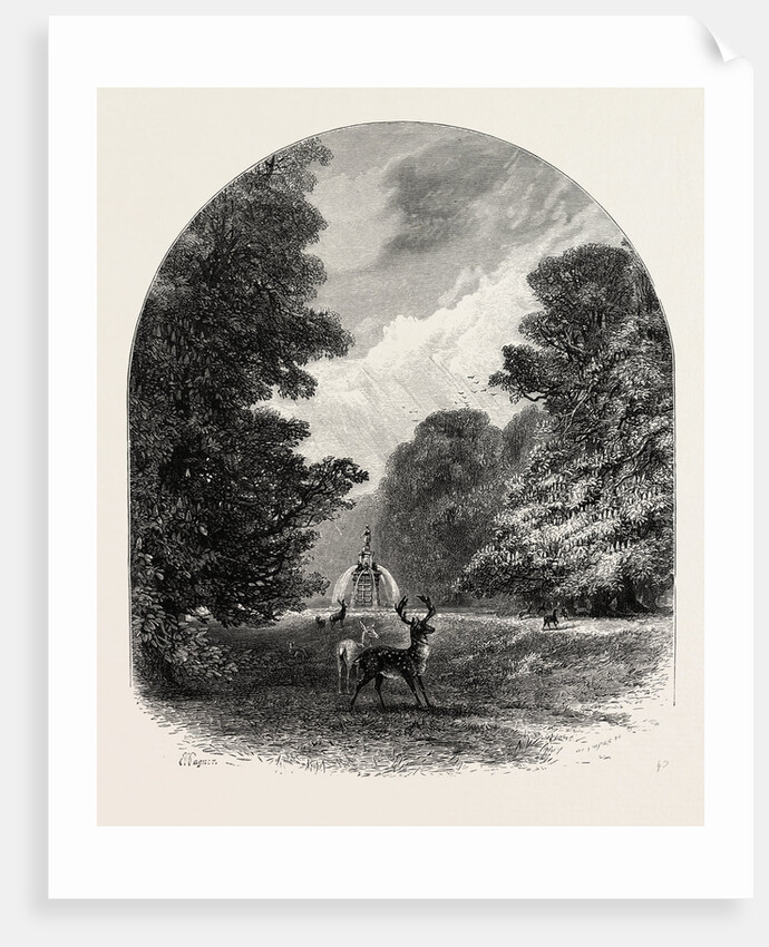 The Chestnuts in Bushey Park, the Forest Scenery of Great Britain by Anonymous