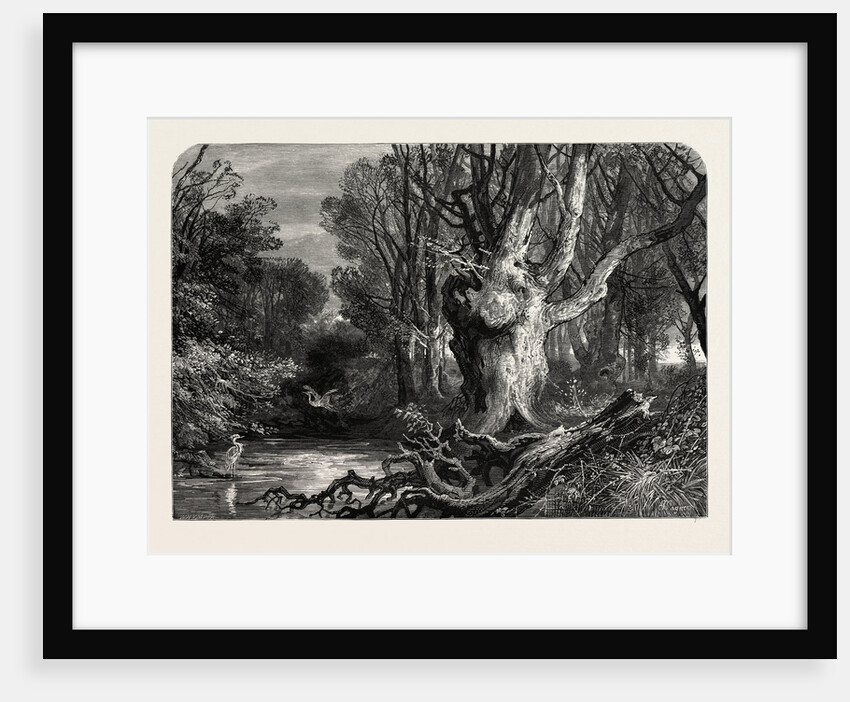 In the New Forest, Lymington by Anonymous
