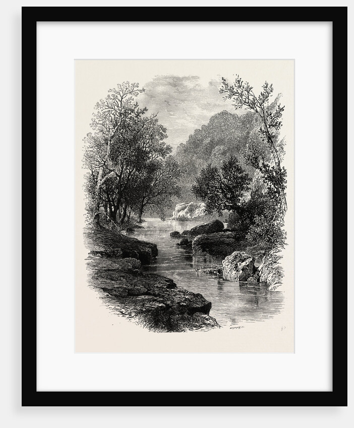 The Valley of the Wharfe, the Forest Scenery of Great Britain by Anonymous