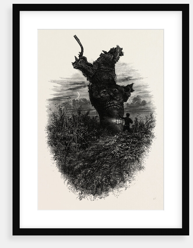 Giant Oak Near Cranbourne Tower, the Forest Scenery of Great Britain by Anonymous