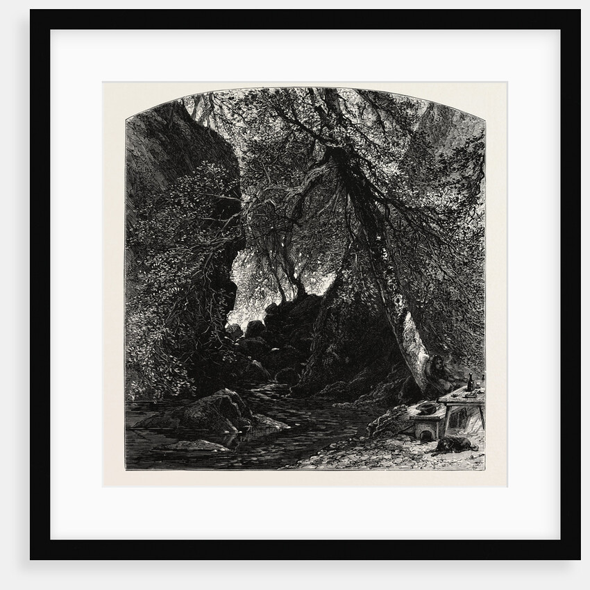 The Dargle, Ireland, Irish, Eire by Anonymous