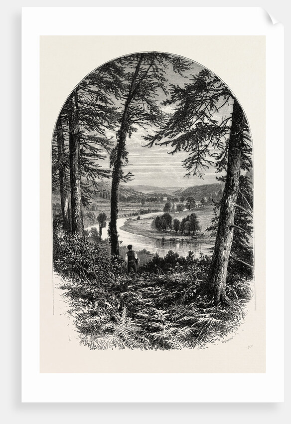 The Vale of Avoca, Ireland, Irish, Eire by Anonymous