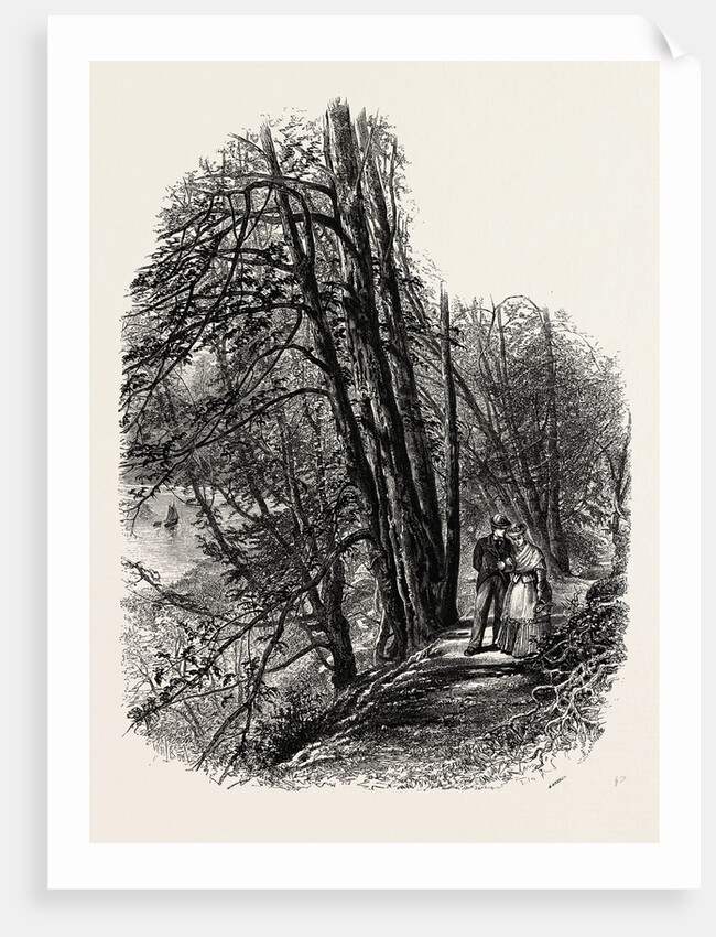 In Cliefden Woods, Scenery of the Thames by Anonymous