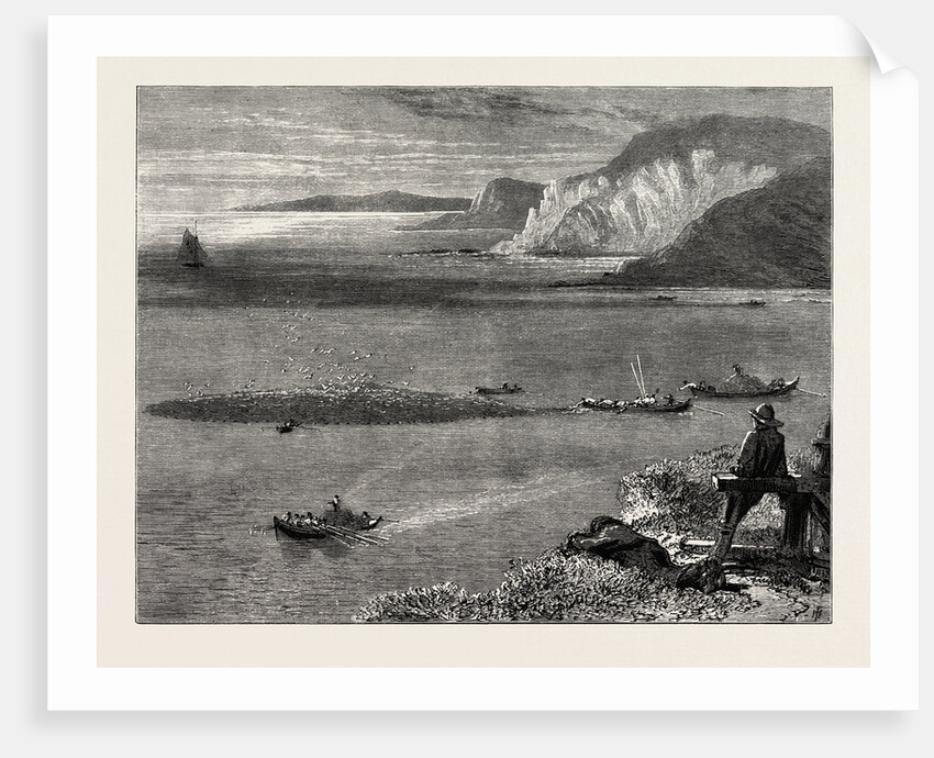 Pilchard Fishing of the Lizard, the South Coast by Anonymous