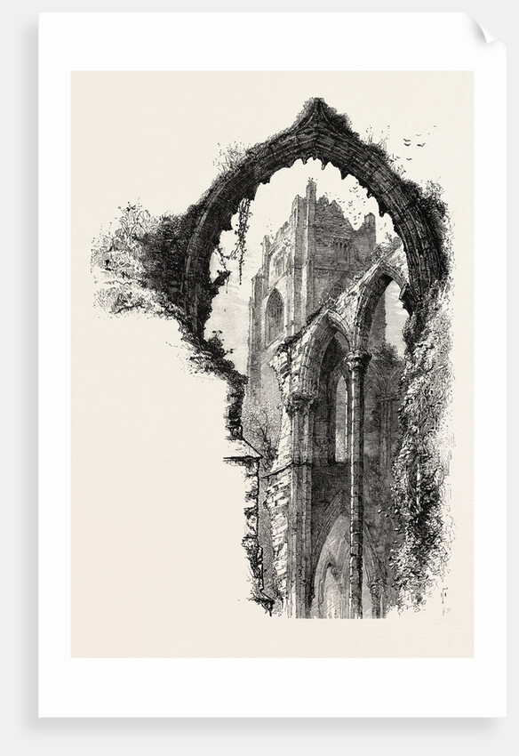 Fountains Abbey by Anonymous