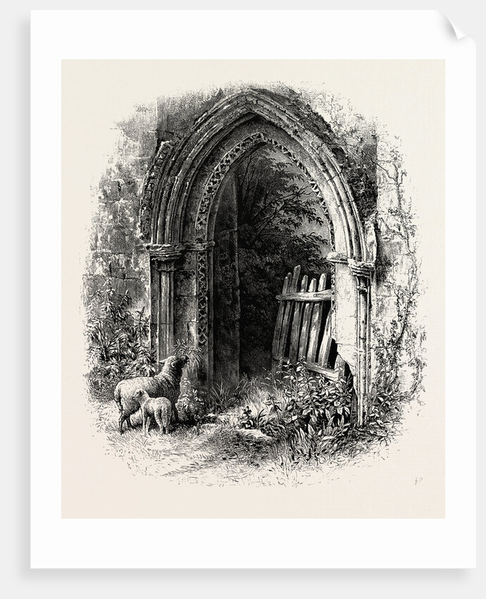 Doorway at Rivaux Abbey by Anonymous