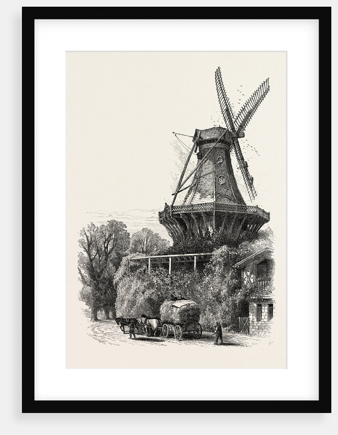 The Windmill, Potsdam, Germany by Anonymous