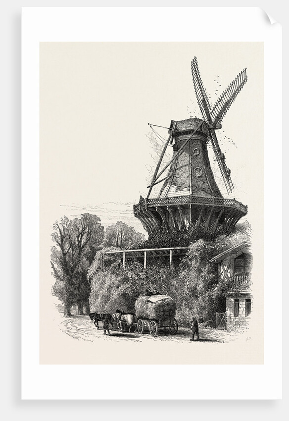 The Windmill, Potsdam, Germany by Anonymous
