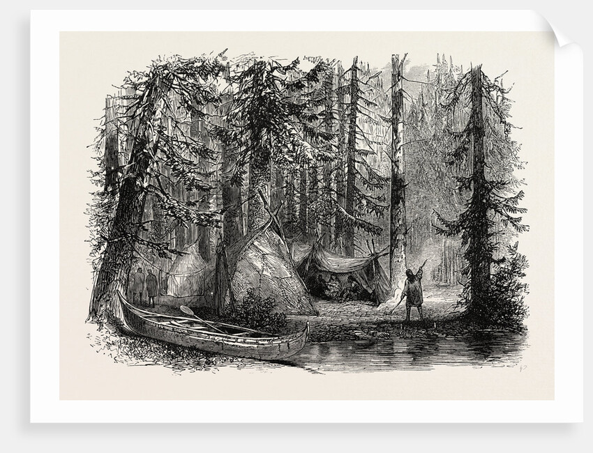 Primeval Forest and Indian Lodges by Anonymous