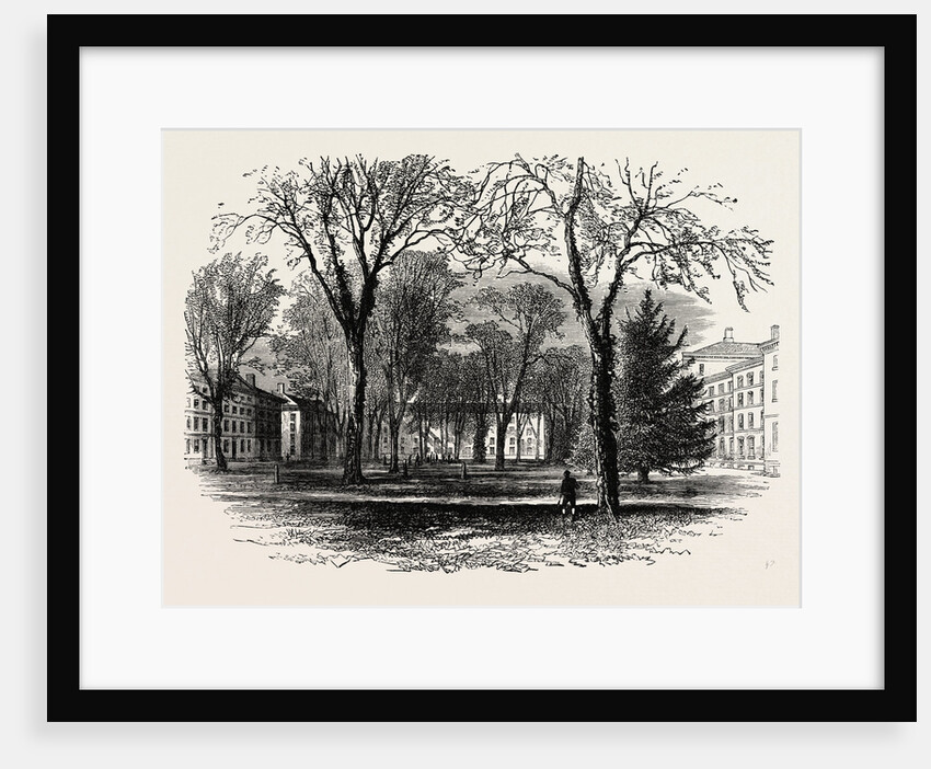 The Quadrangle, Harvard College, Cambridge, Massachusetts by Anonymous