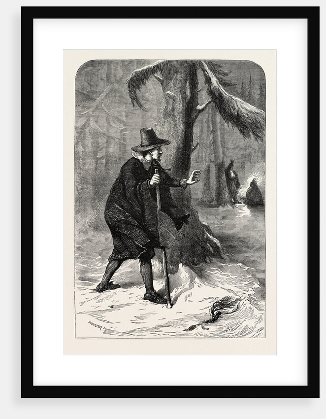 Williams in the Forest by Anonymous