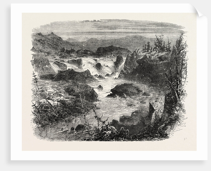 Falls of the Potomac by Anonymous