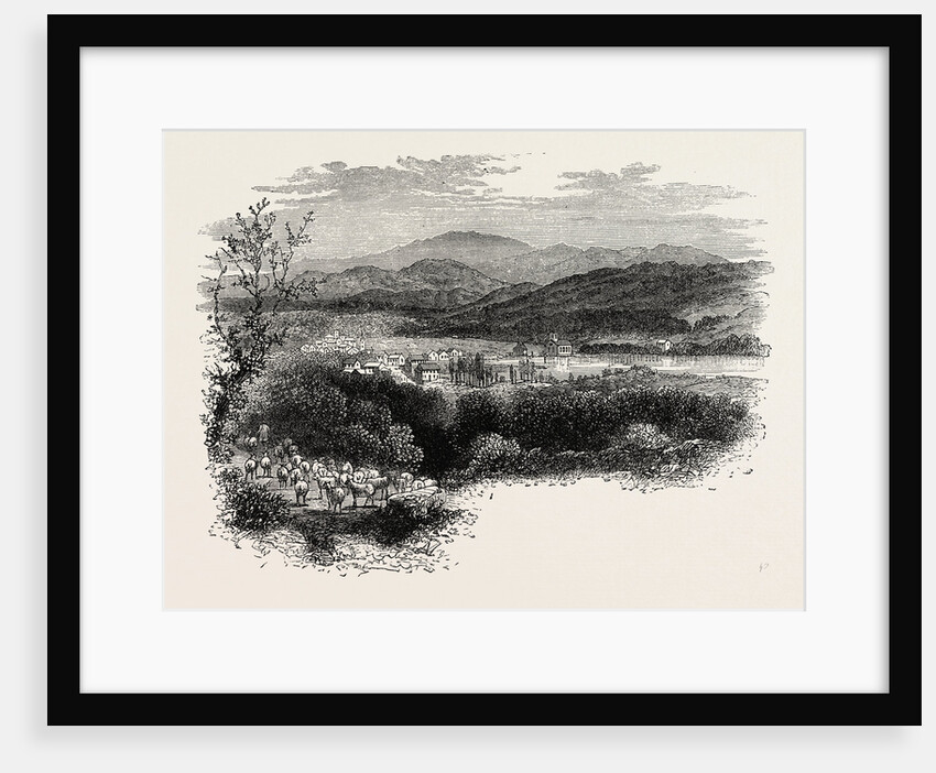 View in New Hampshire by Anonymous