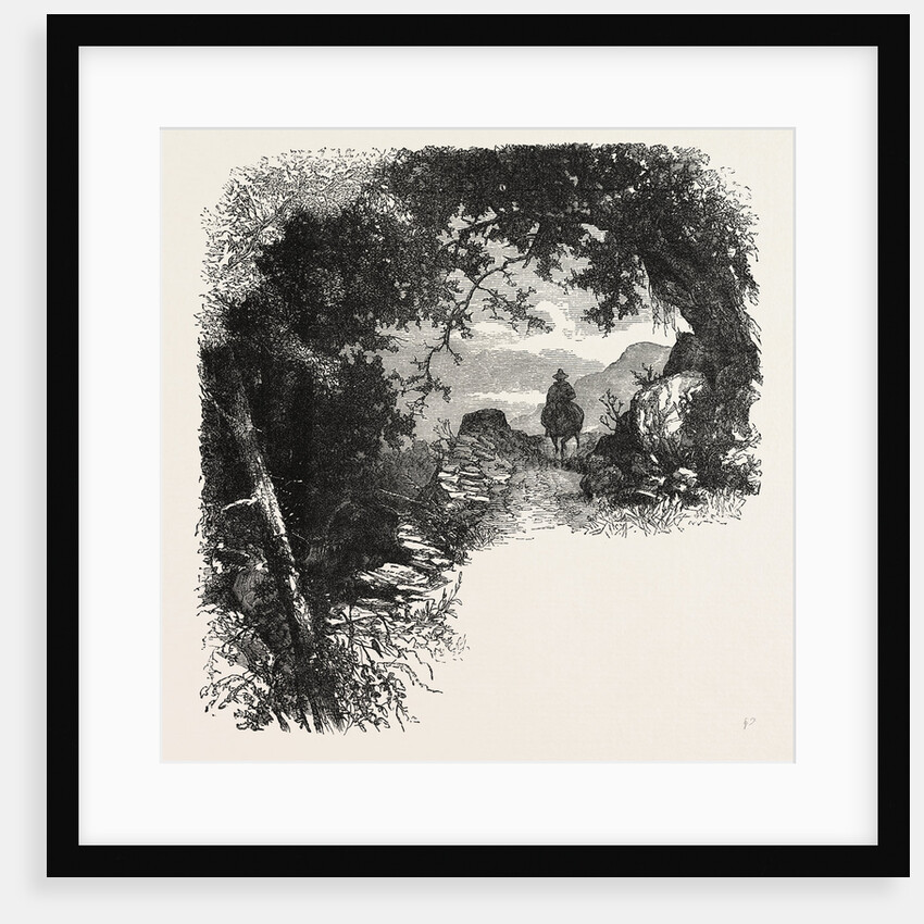 A Road in Maryland by Anonymous