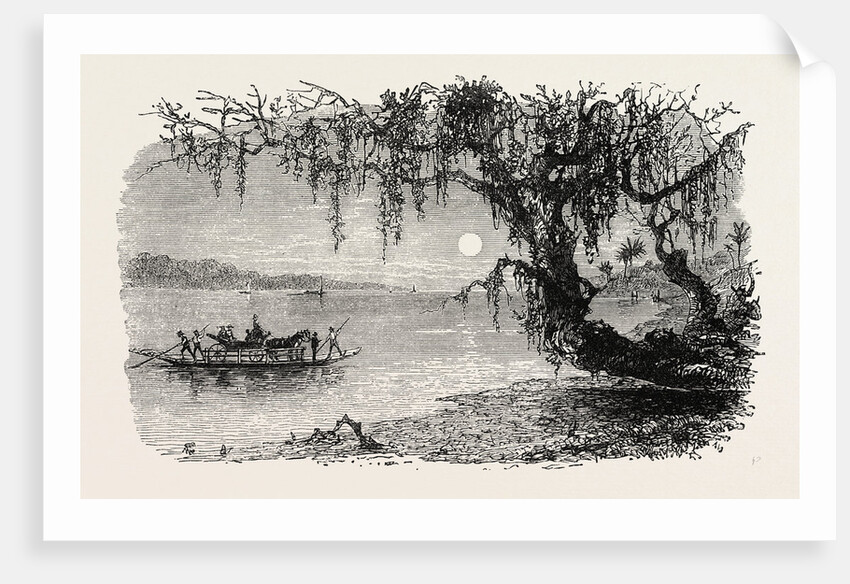 View on the Ashley River by Anonymous