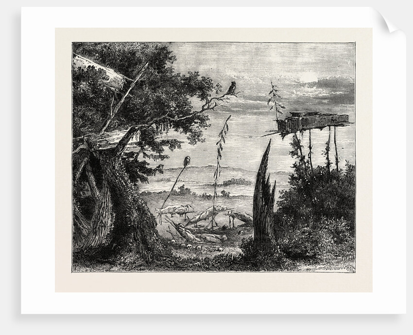 Indian Burial-Ground on the Mississippi by Anonymous