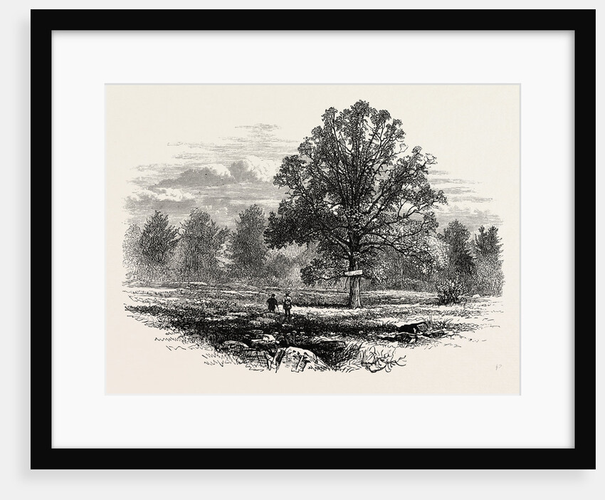 Battlefield of Abercrombie's Defeat by Anonymous