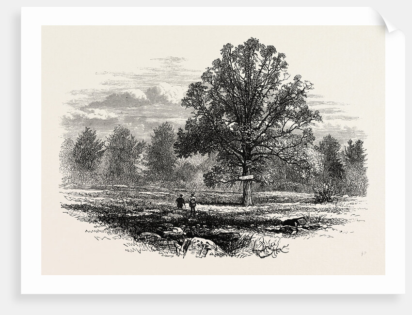 Battlefield of Abercrombie's Defeat by Anonymous