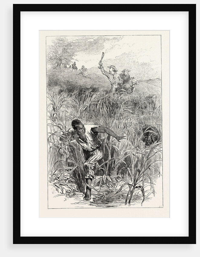 A Slave Hunt, United States of America, Slavery by Anonymous