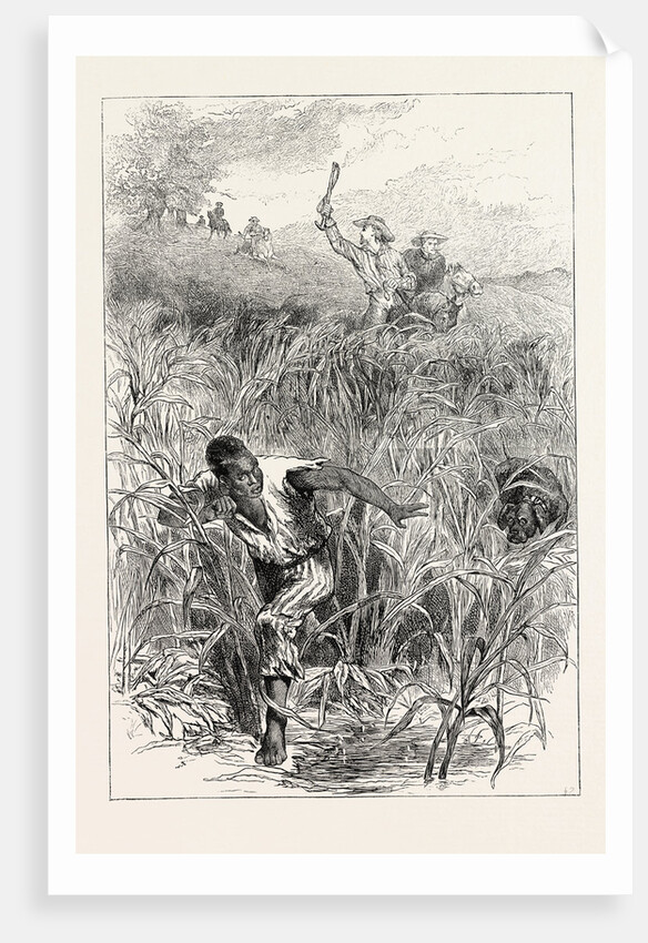 A Slave Hunt, United States of America, Slavery by Anonymous