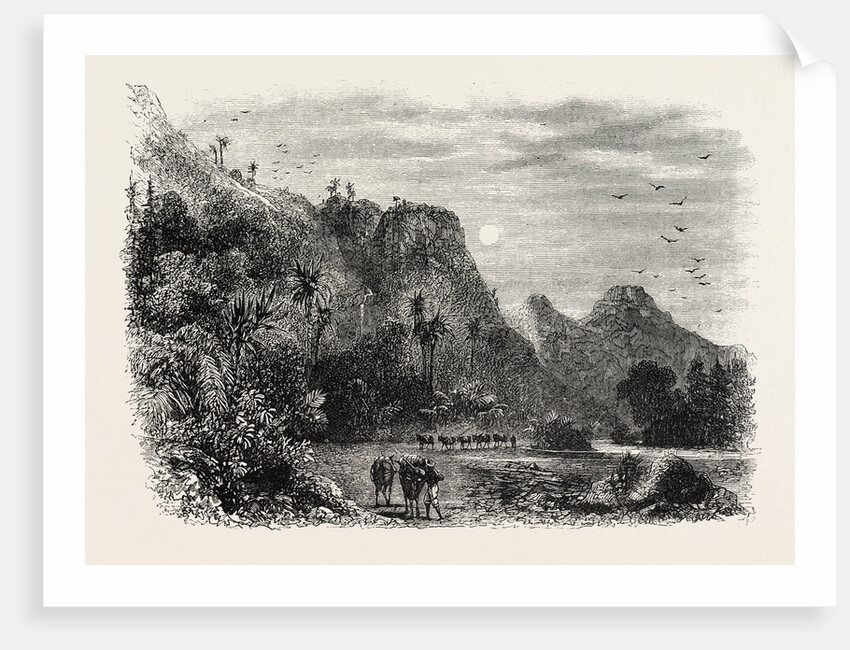View in Cuba by Anonymous
