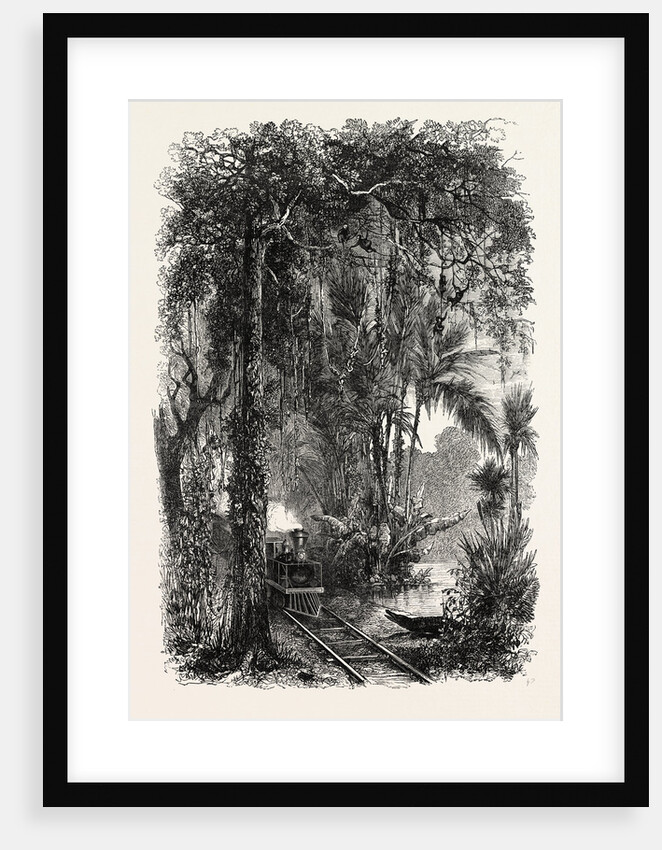 View on the Panama Railroad, Panama by Anonymous