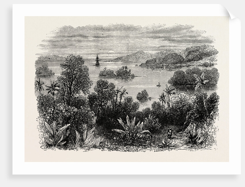 Bay Islands, Honduras by Anonymous